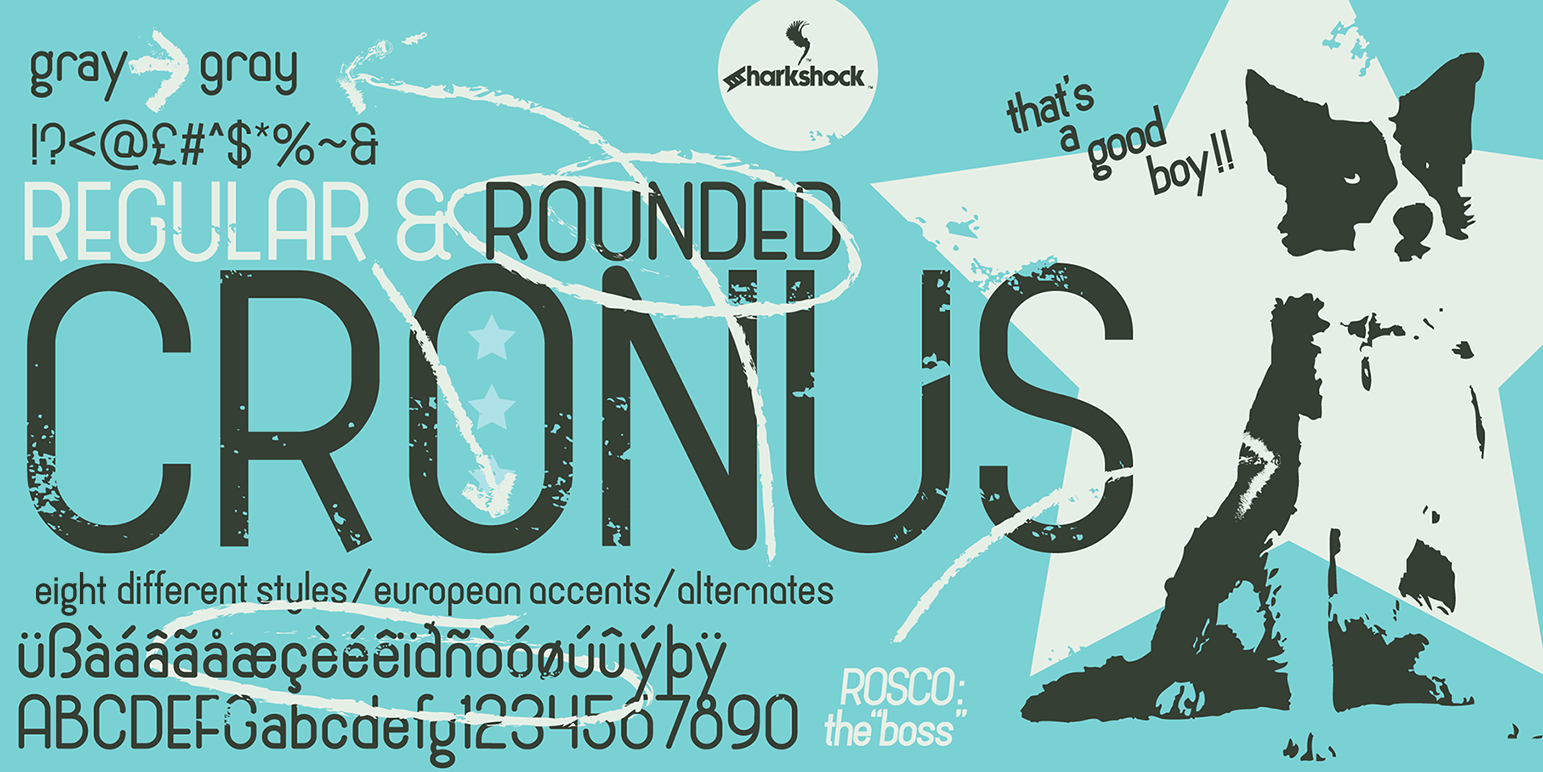 Cronus: A Versatile Sans Serif for Campaigns