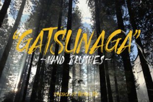 Gatsunaga Hand Brushes for Branding Projects