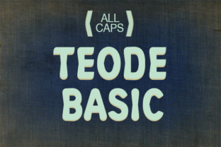 Teode Basic: A Bold Choice for Web Design